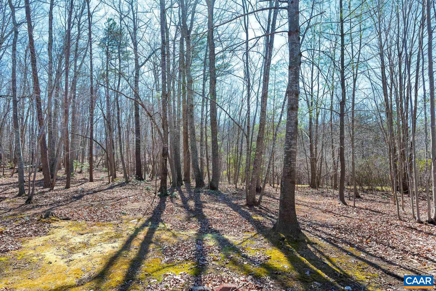 2850 Camp Spring Road Esmont, VA 22937 - Photo 32 of 35 a view of a backyard with trees