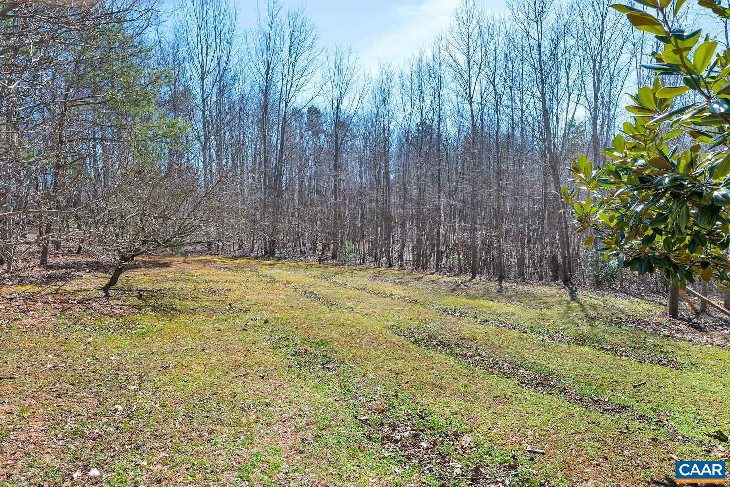2850 Camp Spring Road Esmont, VA 22937 - Photo 33 of 35 a view of outdoor space with trees