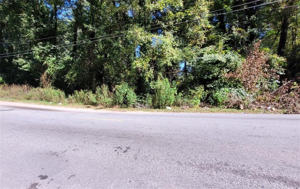 0 Barge Road Southwest Atlanta, GA 30331 - Photo 5 of 7 a view of a yard with a tree