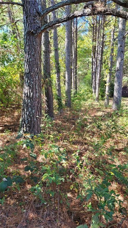 0 Barge Road Southwest Atlanta, GA 30331 - Photo 6 of 7 a backyard of a house with large trees and plants