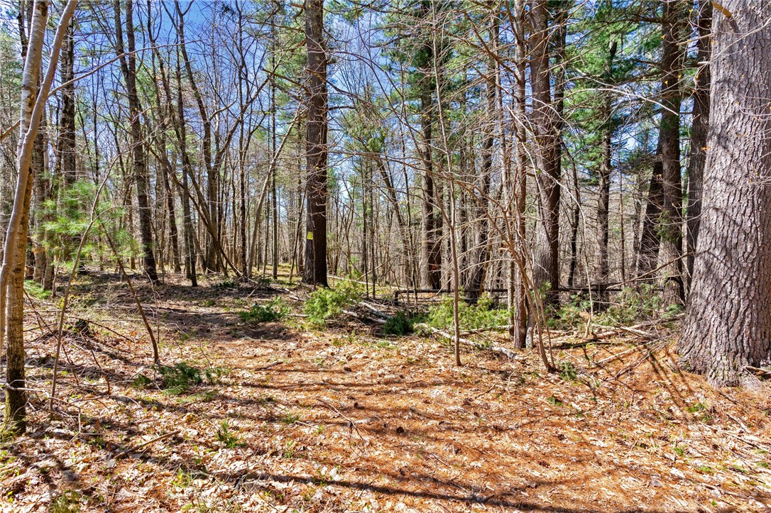 246 Nelson Capwell Road Coventry, RI 02827 - Photo 23 of 31