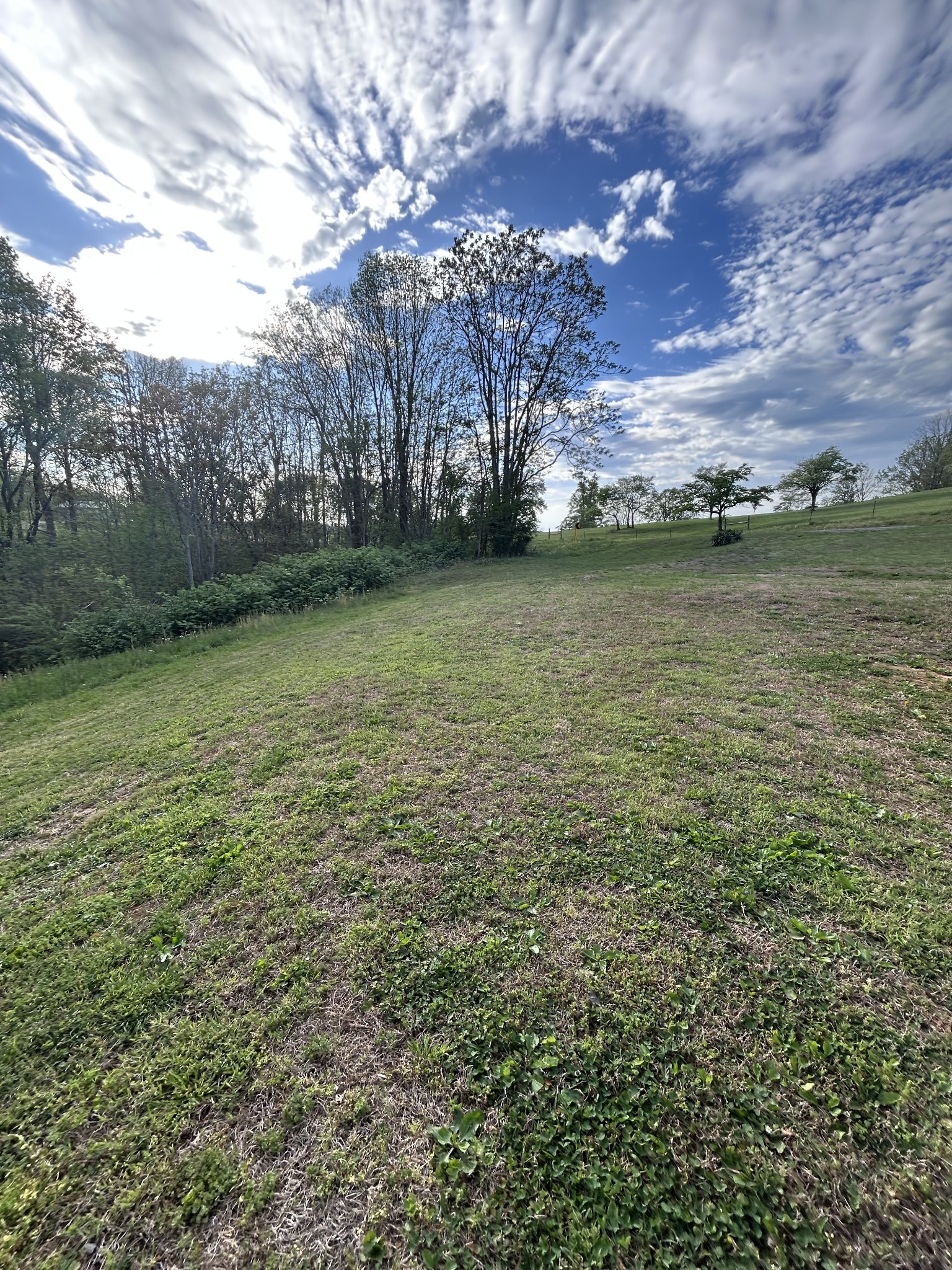 259 Union Hill Moss Road Moss, TN 38575 - Photo 18 of 28