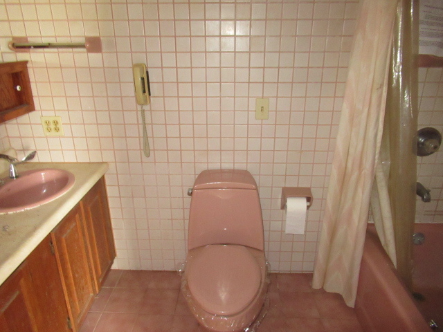 153 Lake Road Seymour, IL 61875 - Photo 11 of 15