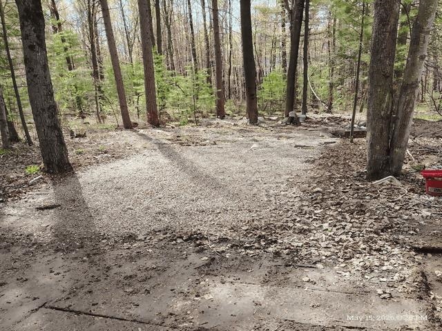 6230 Shellenbarger Road Hale, MI 48739 - Photo 33 of 46