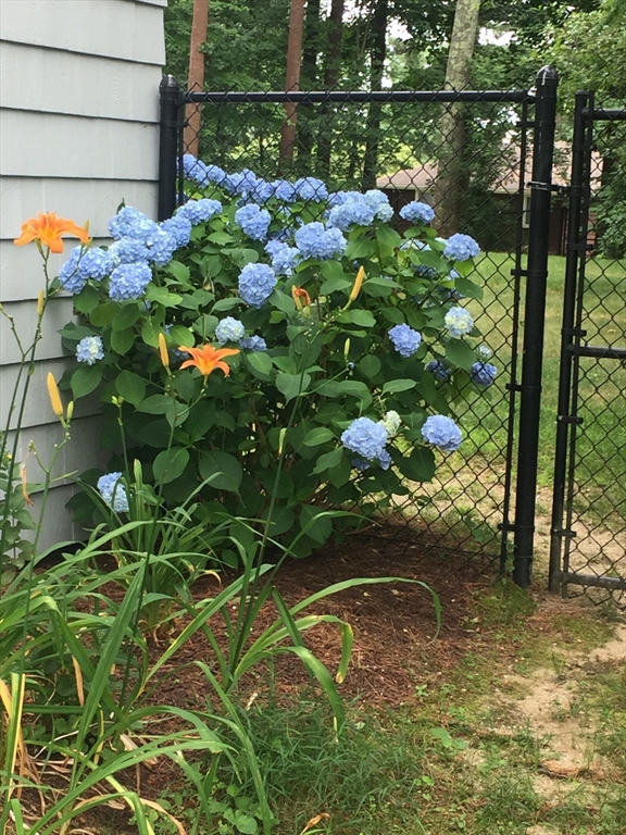 31 Marlyn Road Medfield, MA 02052 - Photo 33 of 36 Gallery Image 33