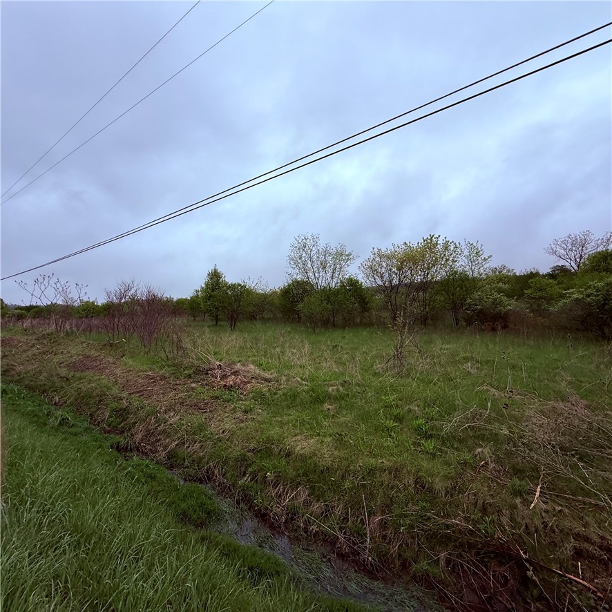 0 Reeds Corners Road Dansville, NY 14437 - Photo 6 of 13
