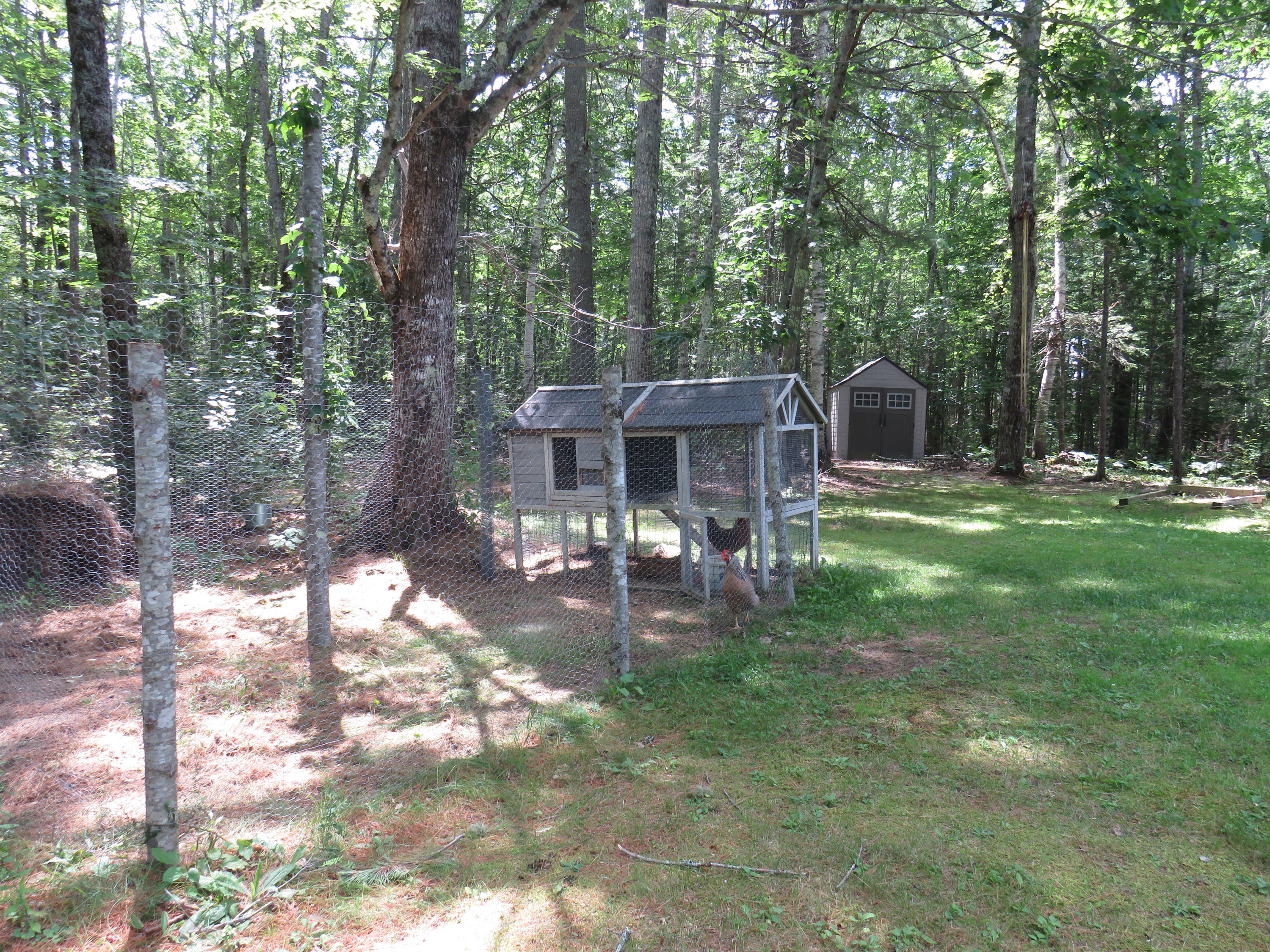 334 Fenwick Road Belmont, ME 04952 - Photo 26 of 28 IMG_1492