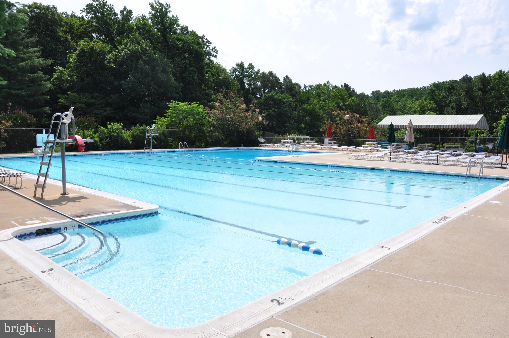 5698 Kirkham Court Springfield, VA 22151 - Photo 27 of 29 Community Pool