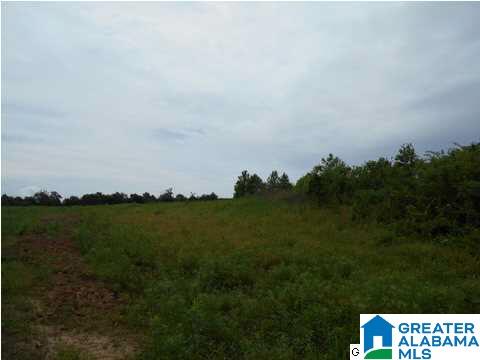 Marvin Adcock Road, Unit 31 Hayden, AL 35079 - Photo 6 of 6