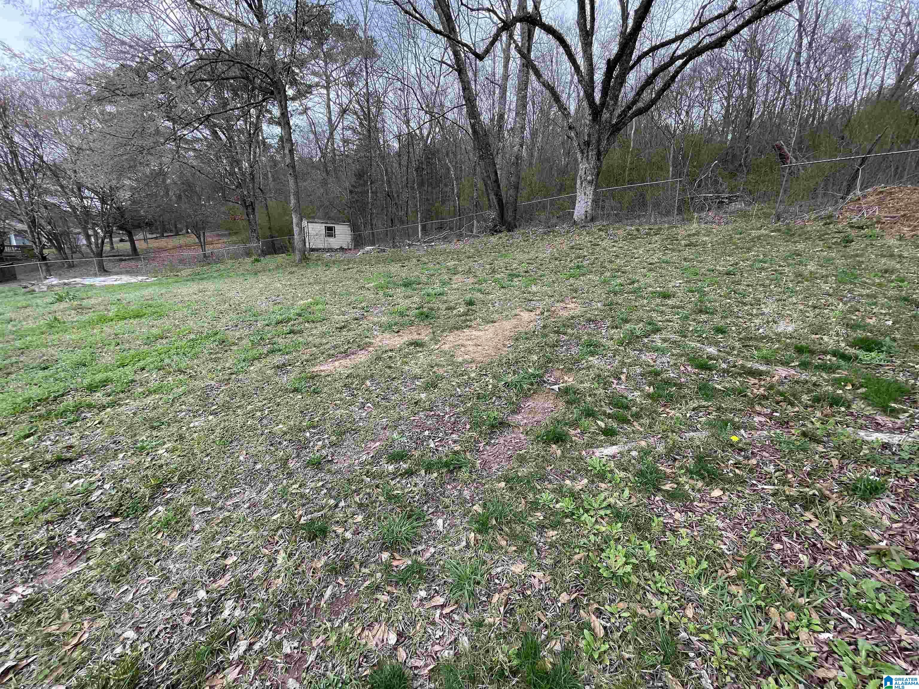 6401 Tyler Loop Road Pinson, AL 35126 - Photo 29 of 32
