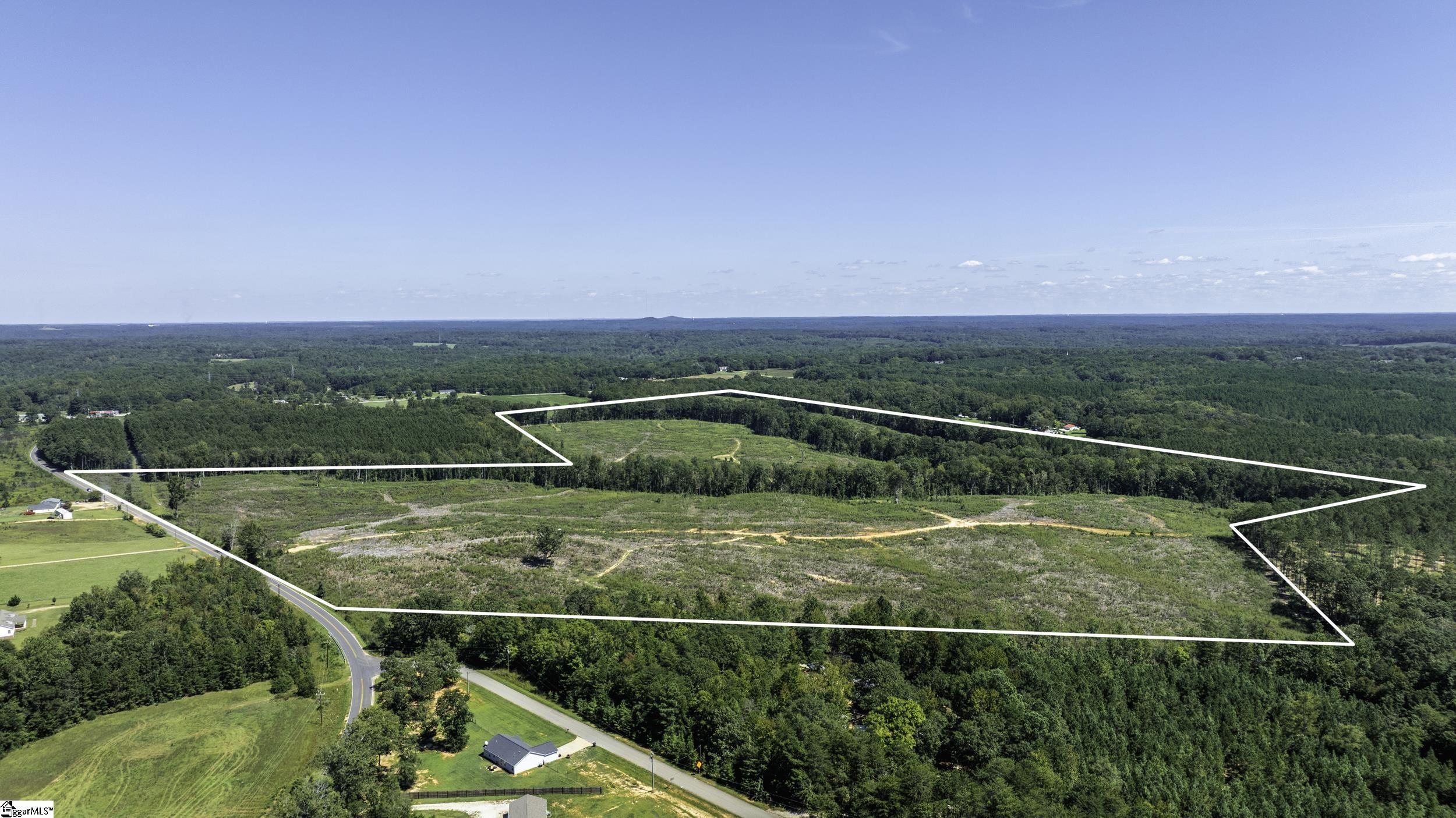 0 Cowens Bridge Road Gray Court, SC 29645 - Photo 11 of 24