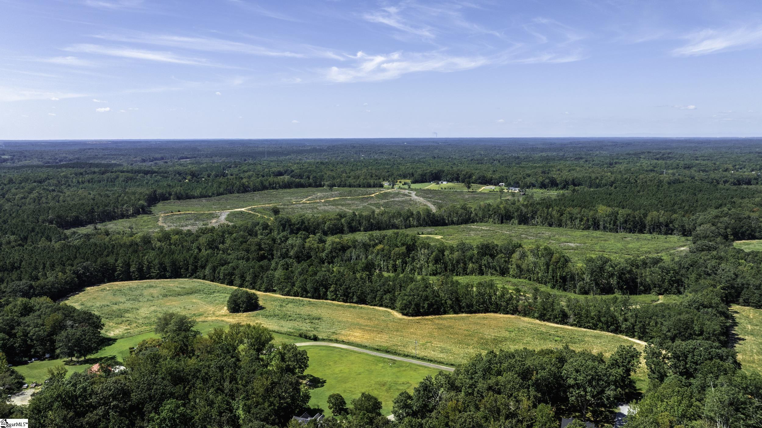 0 Cowens Bridge Road Gray Court, SC 29645 - Photo 12 of 24