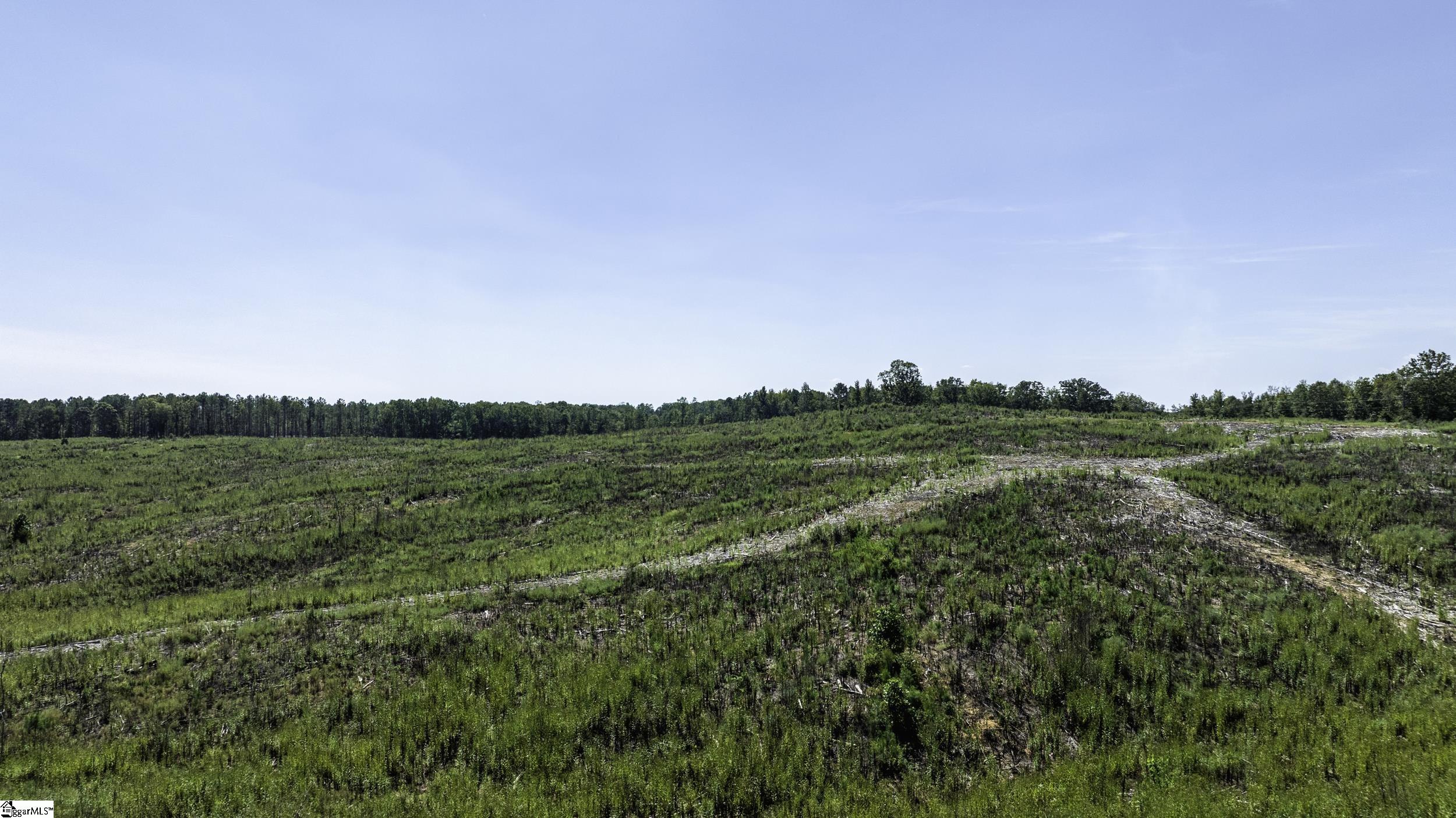 0 Cowens Bridge Road Gray Court, SC 29645 - Photo 14 of 24