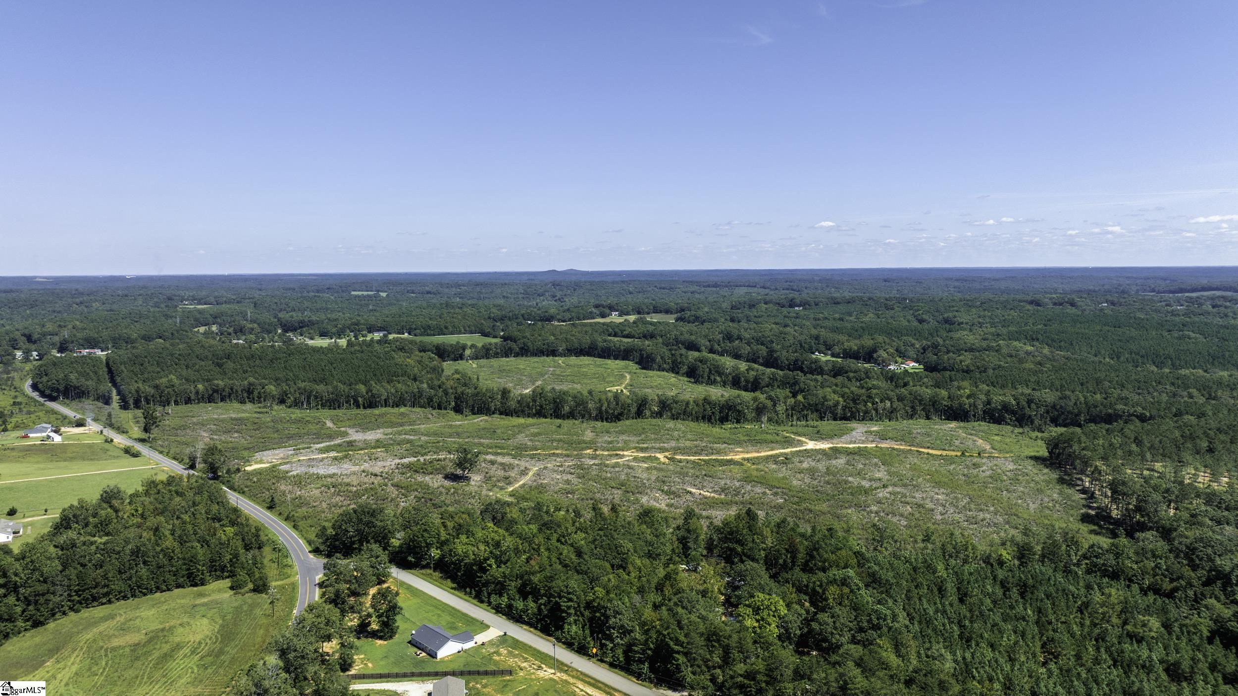 0 Cowens Bridge Road Gray Court, SC 29645 - Photo 15 of 24