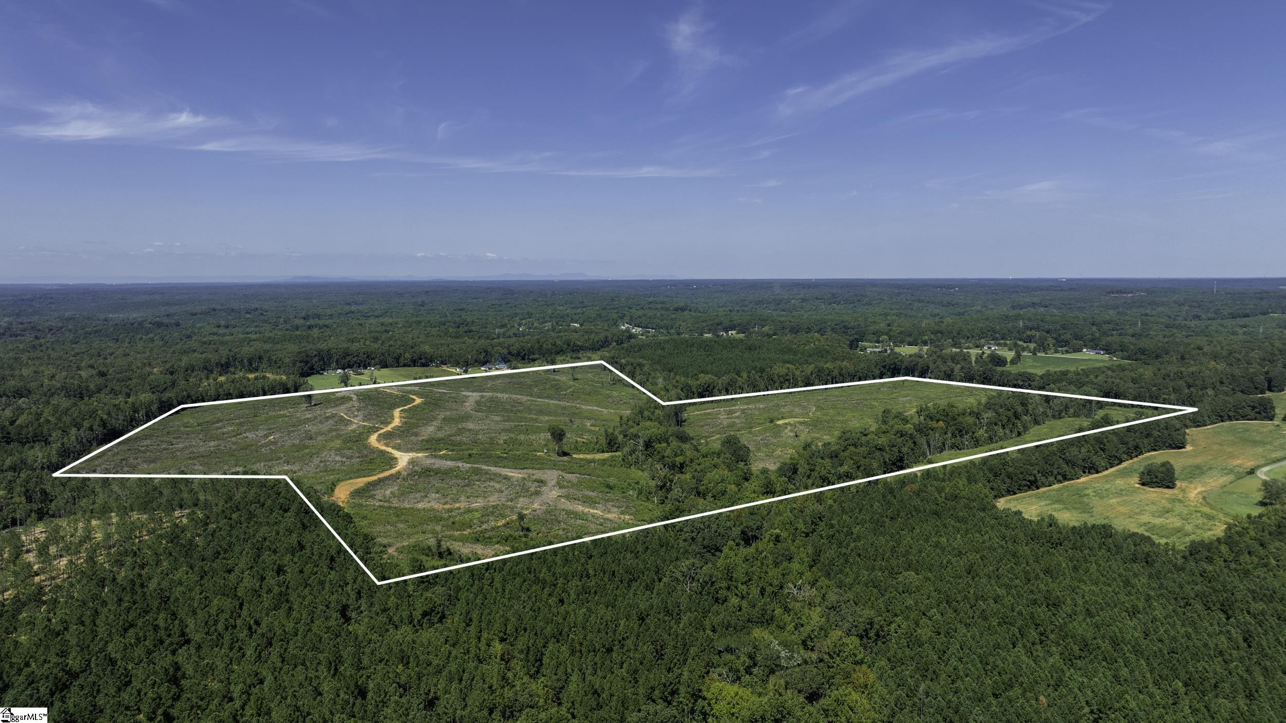 0 Cowens Bridge Road Gray Court, SC 29645 - Photo 16 of 24