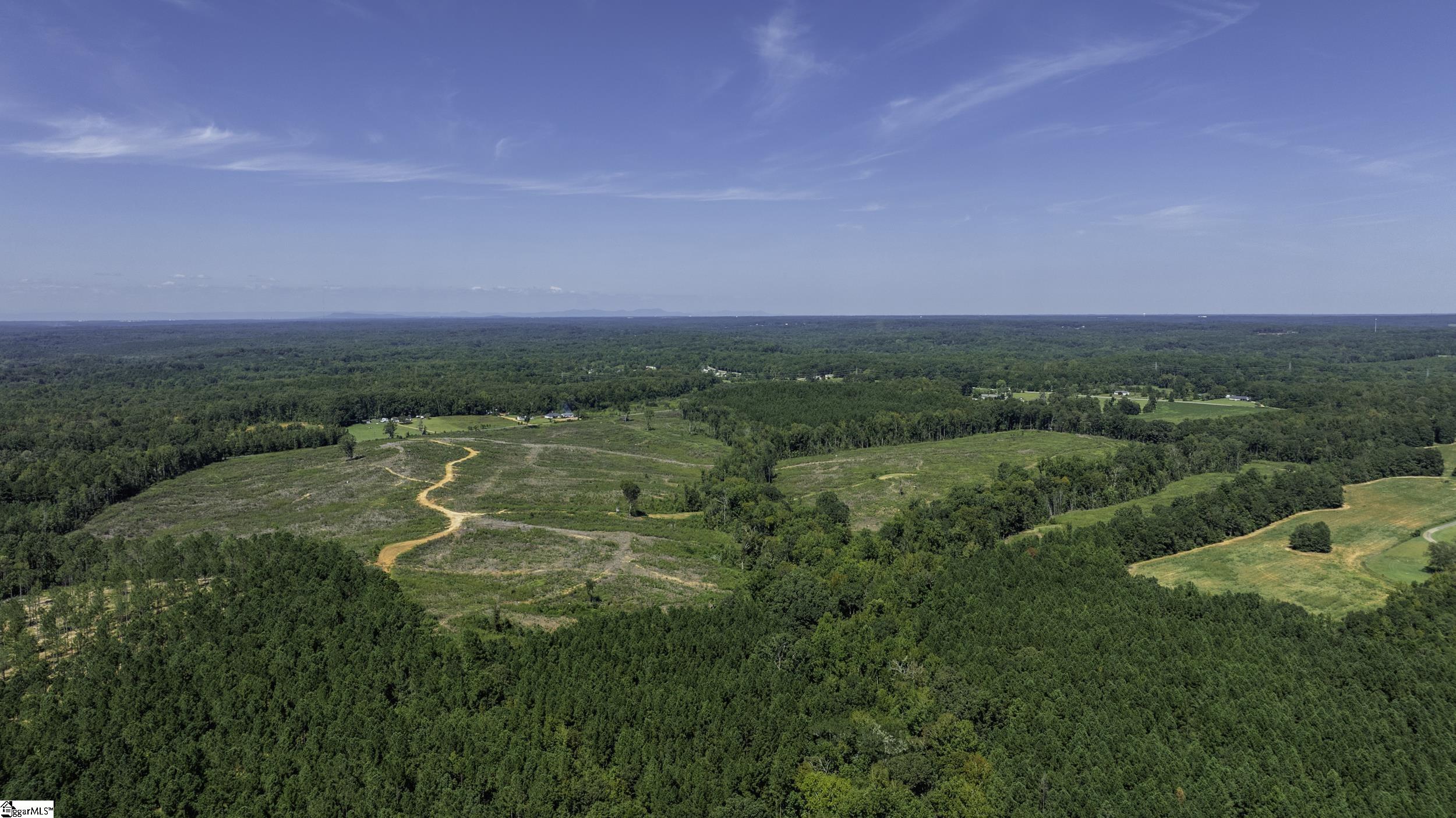 0 Cowens Bridge Road Gray Court, SC 29645 - Photo 18 of 24