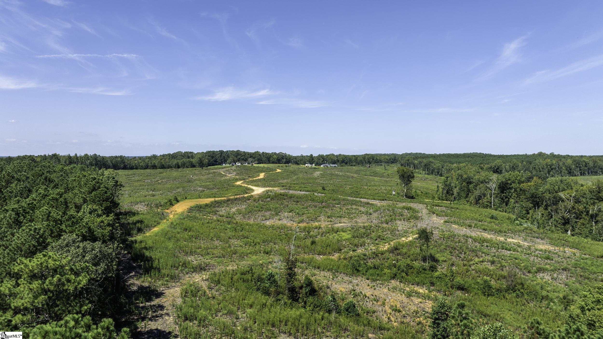 0 Cowens Bridge Road Gray Court, SC 29645 - Photo 19 of 24