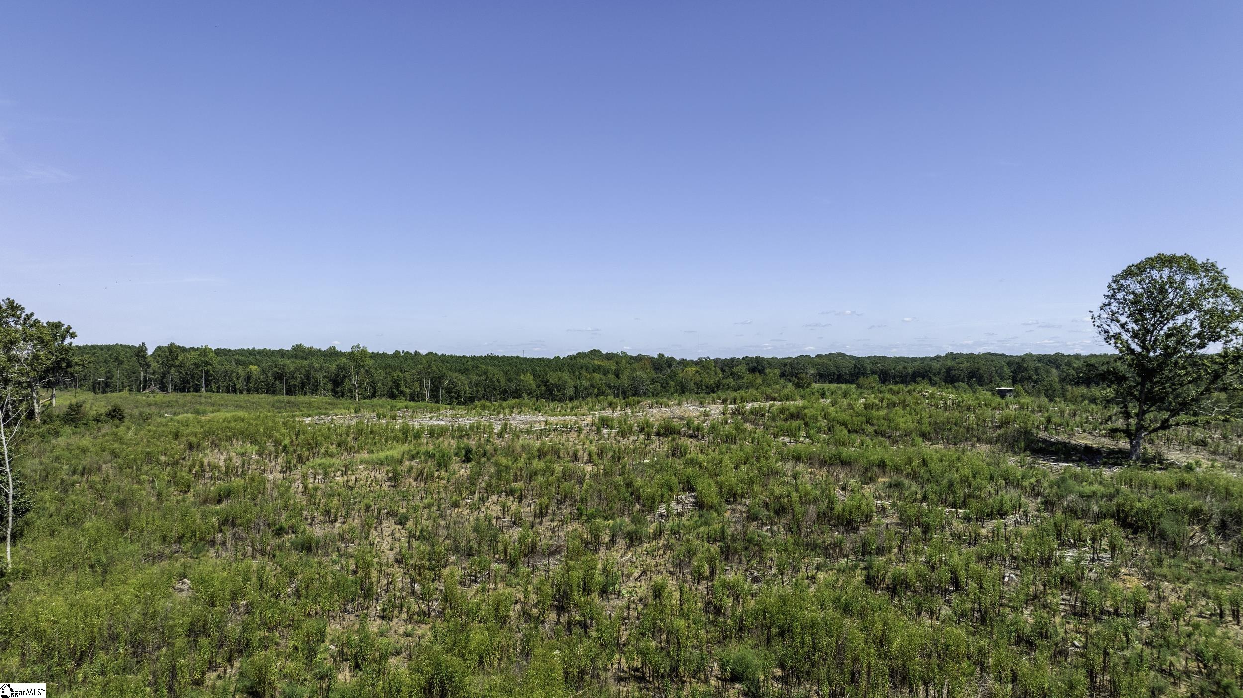0 Cowens Bridge Road Gray Court, SC 29645 - Photo 20 of 24