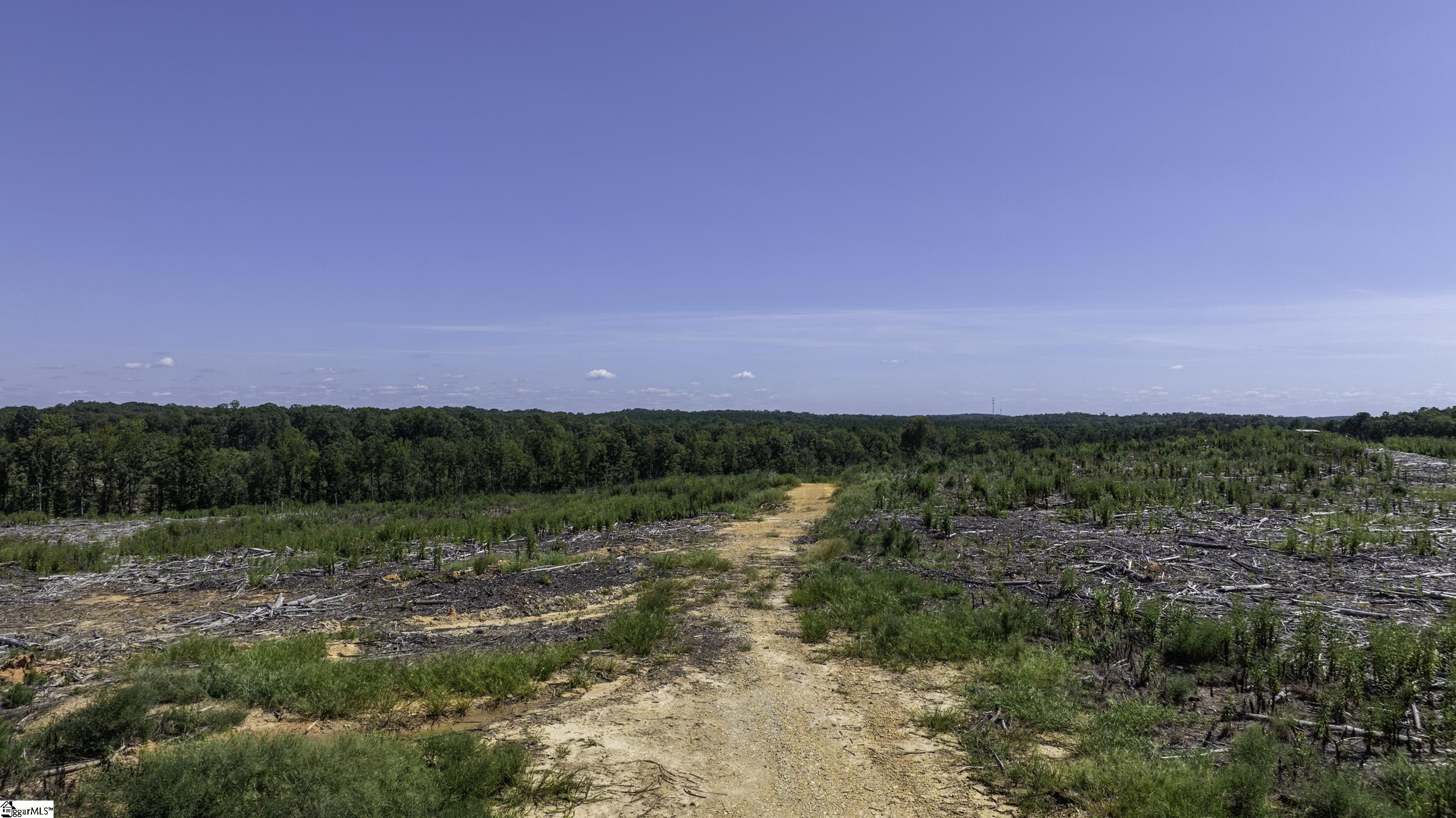 0 Cowens Bridge Road Gray Court, SC 29645 - Photo 2 of 24