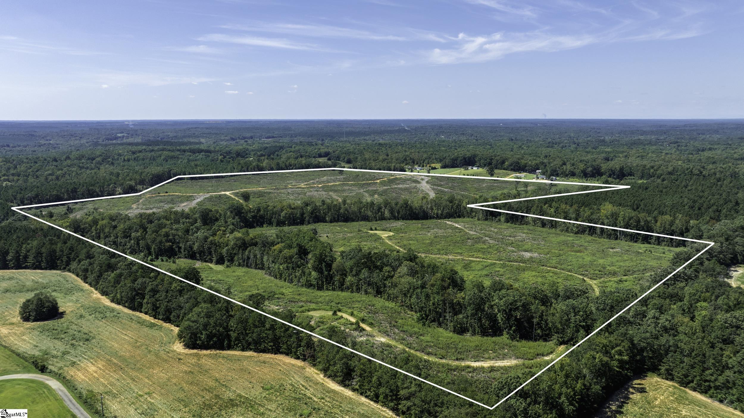 0 Cowens Bridge Road Gray Court, SC 29645 - Photo 21 of 24