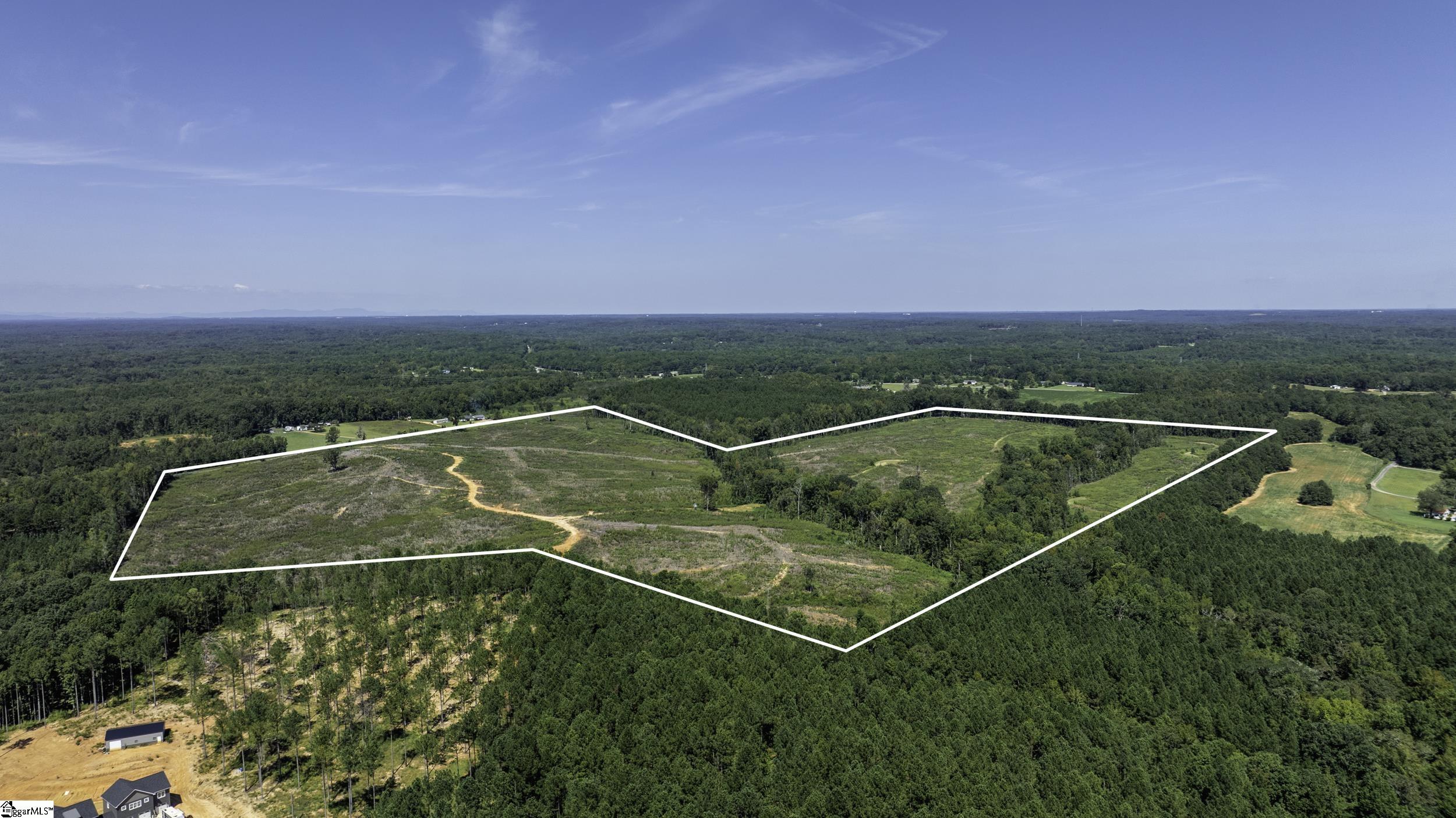 0 Cowens Bridge Road Gray Court, SC 29645 - Photo 22 of 24