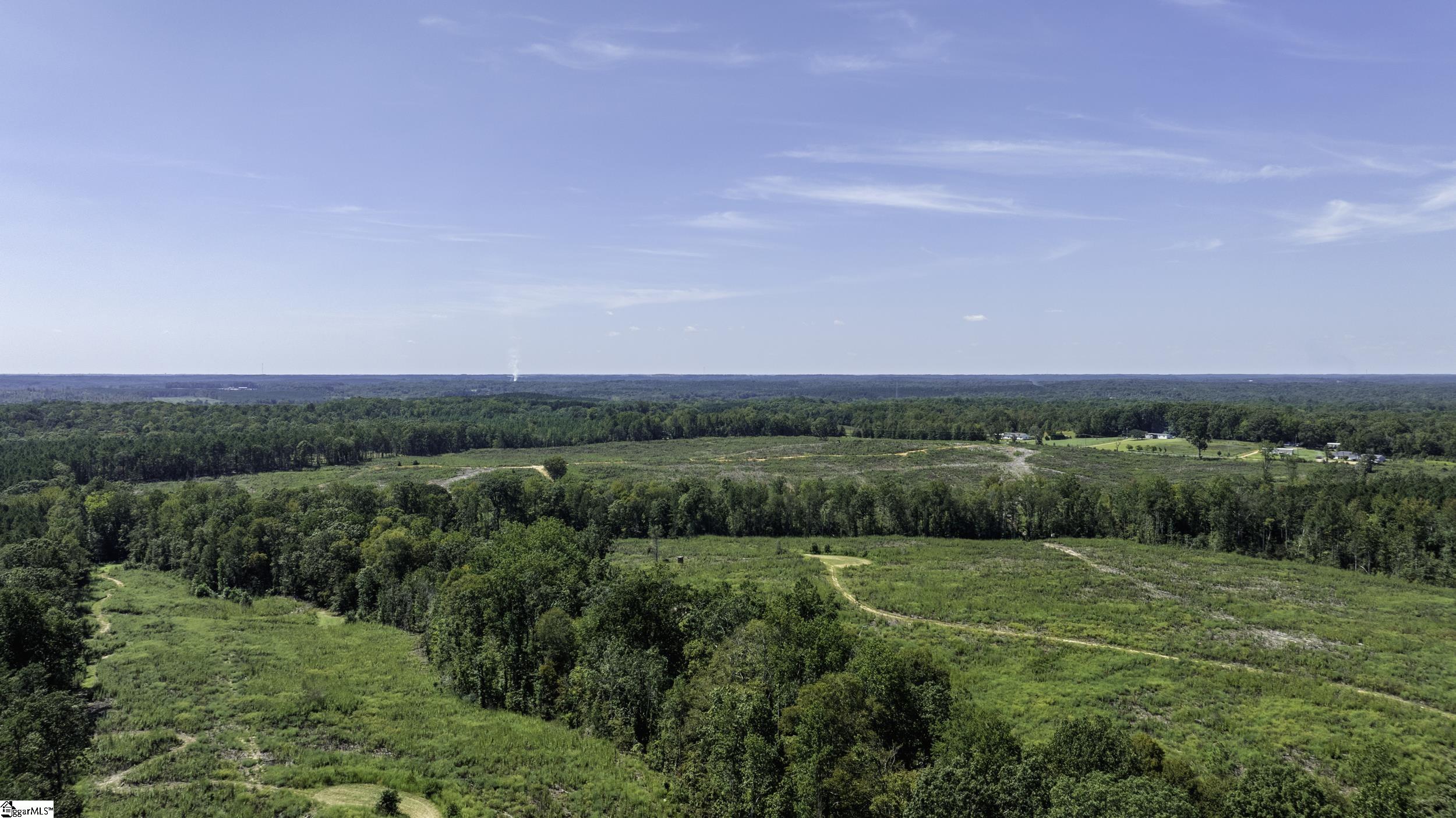 0 Cowens Bridge Road Gray Court, SC 29645 - Photo 23 of 24