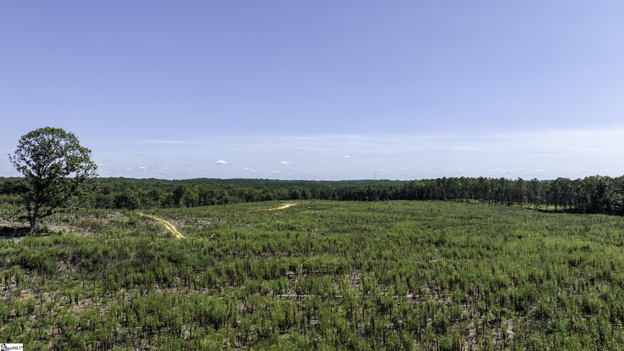 0 Cowens Bridge Road Gray Court, SC 29645 - Photo 24 of 24