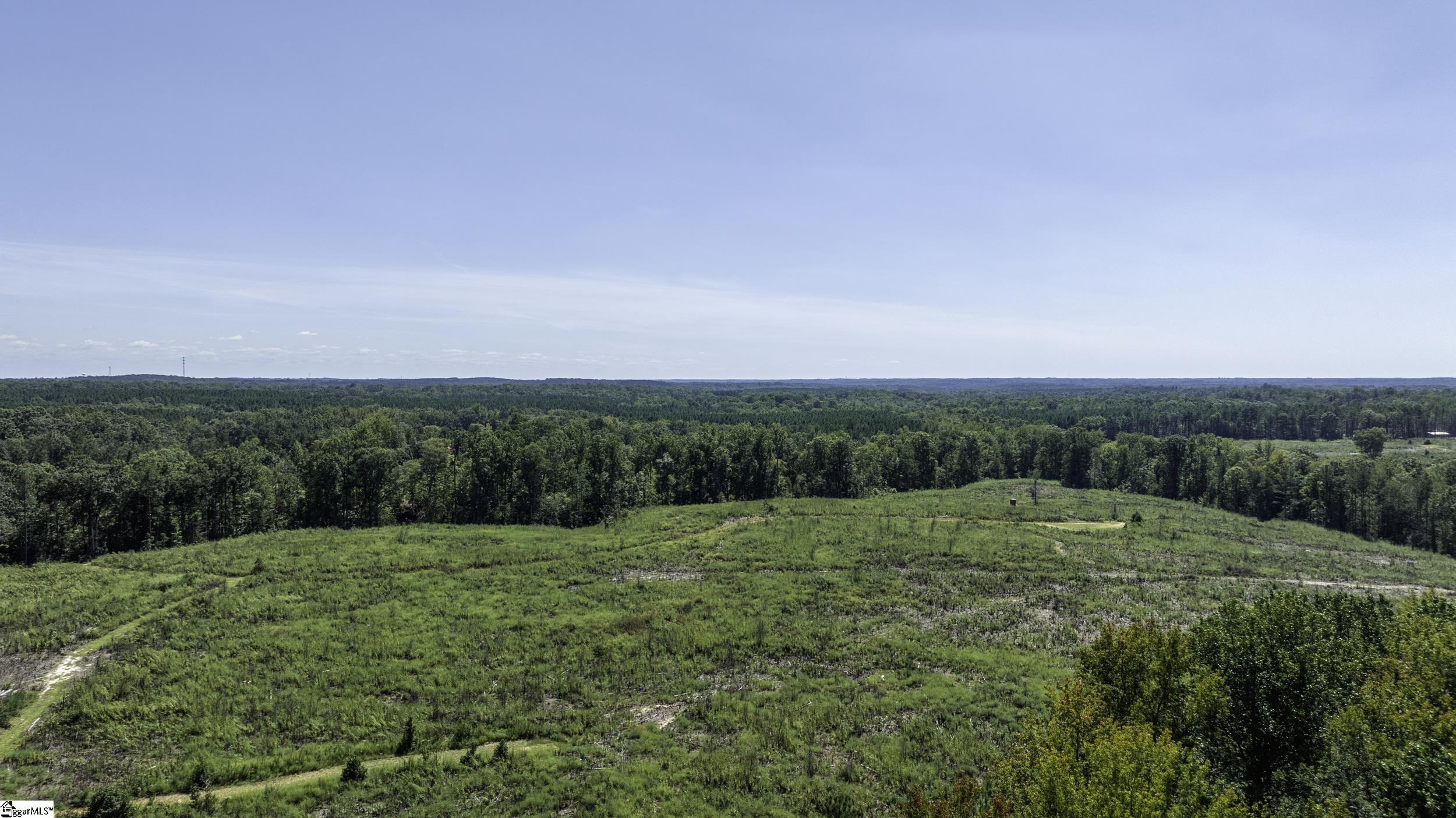 0 Cowens Bridge Road Gray Court, SC 29645 - Photo 3 of 24