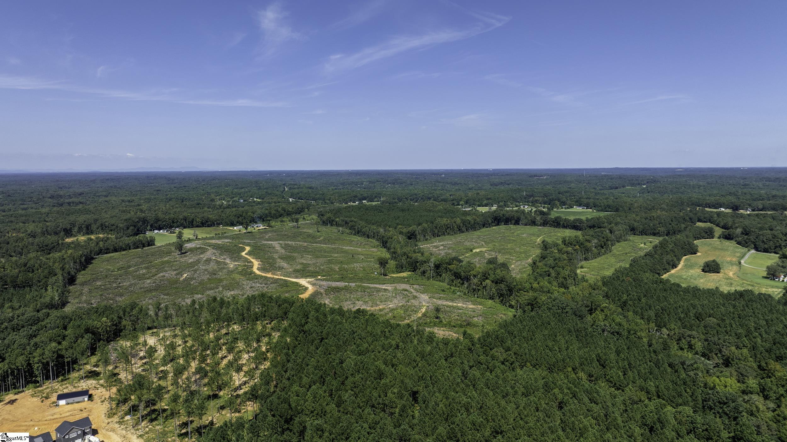 0 Cowens Bridge Road Gray Court, SC 29645 - Photo 4 of 24