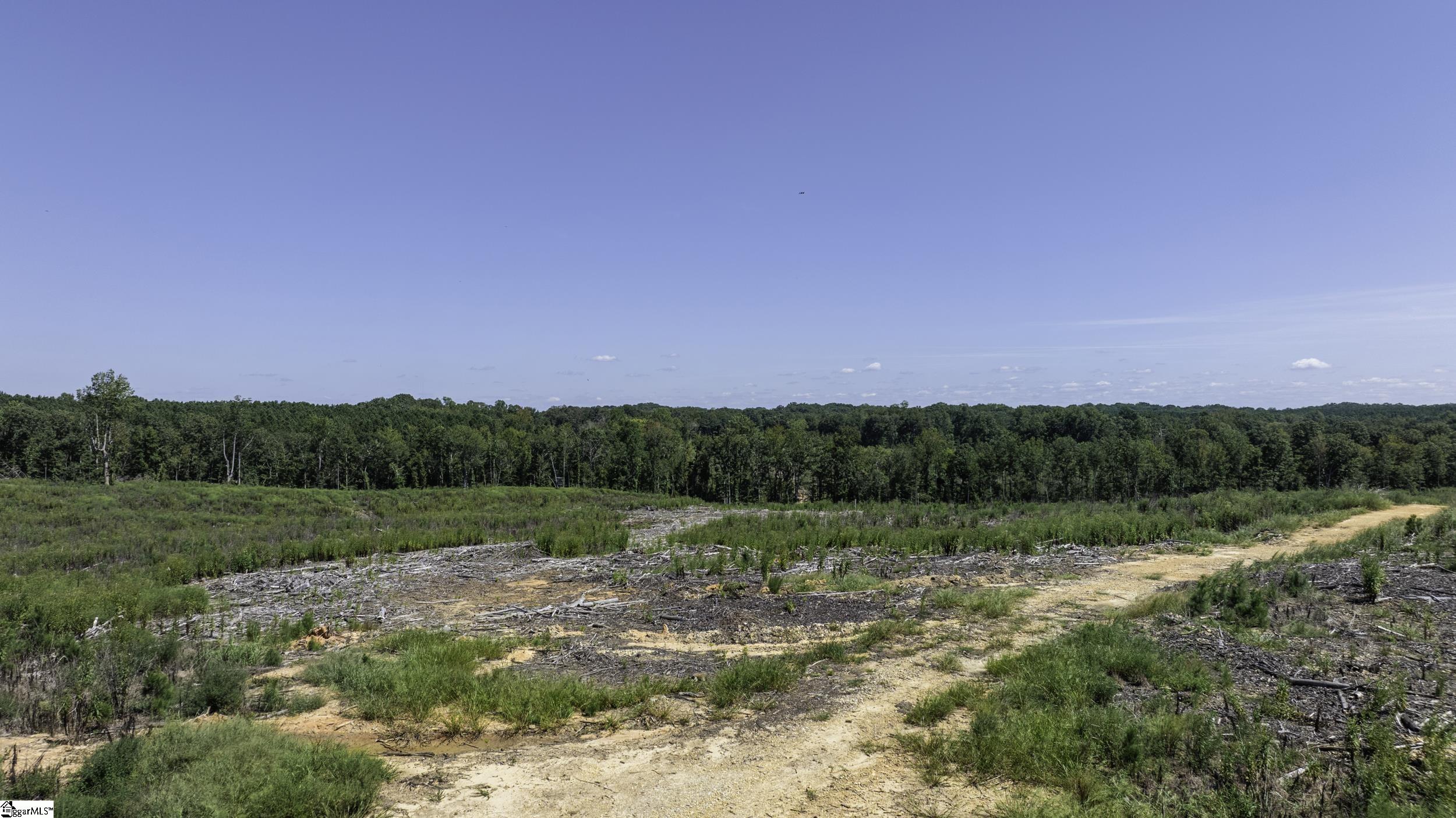 0 Cowens Bridge Road Gray Court, SC 29645 - Photo 5 of 24