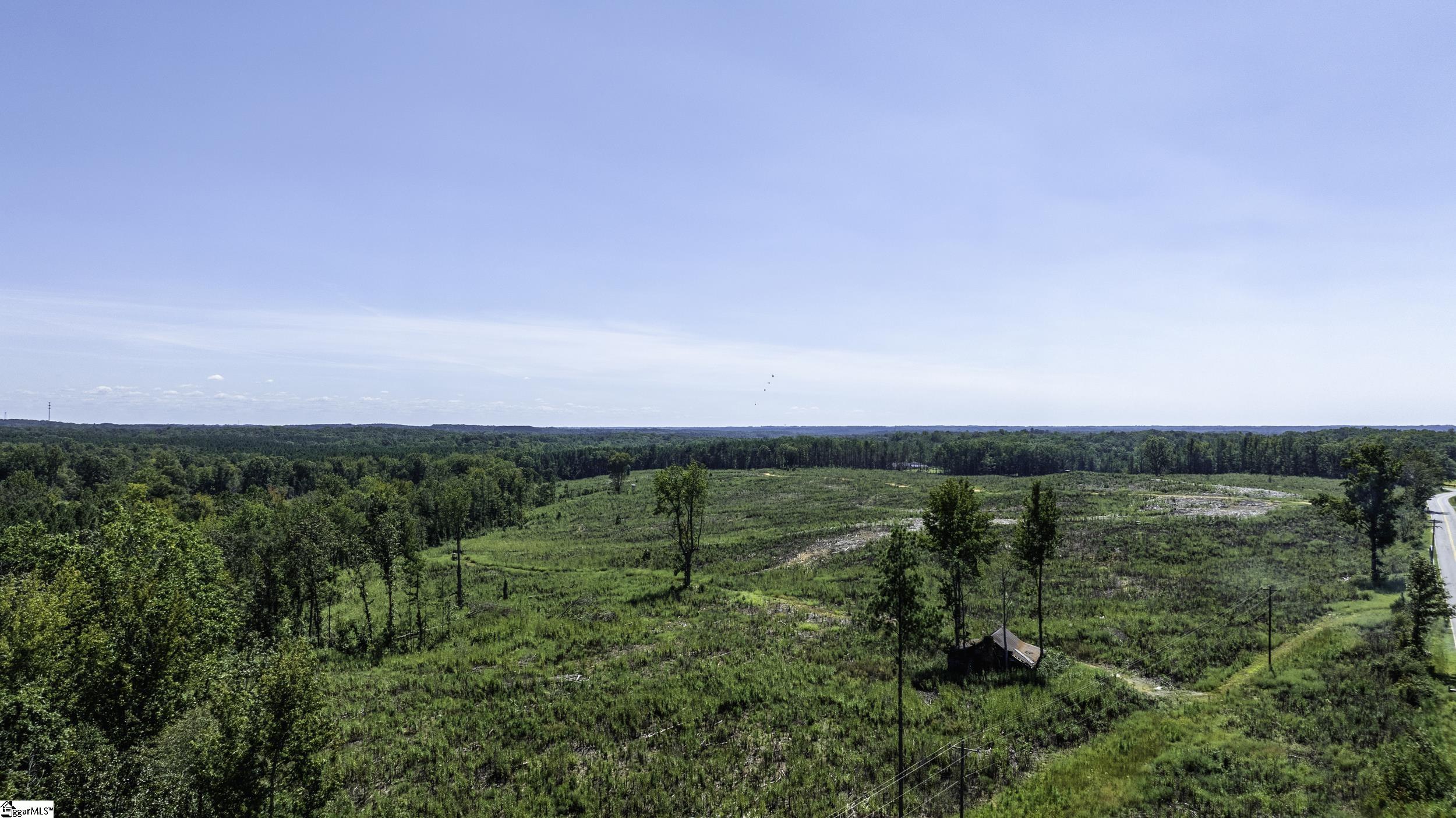 0 Cowens Bridge Road Gray Court, SC 29645 - Photo 6 of 24