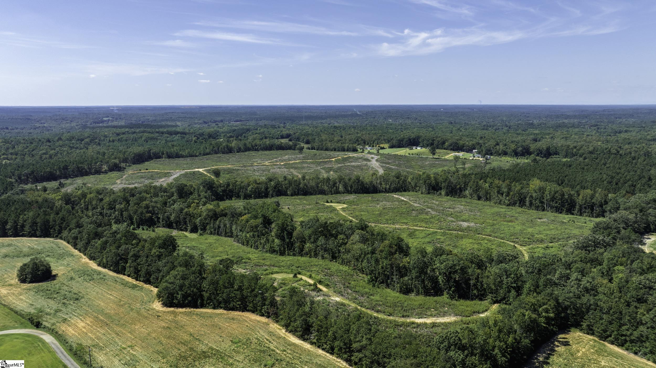 0 Cowens Bridge Road Gray Court, SC 29645 - Photo 8 of 24