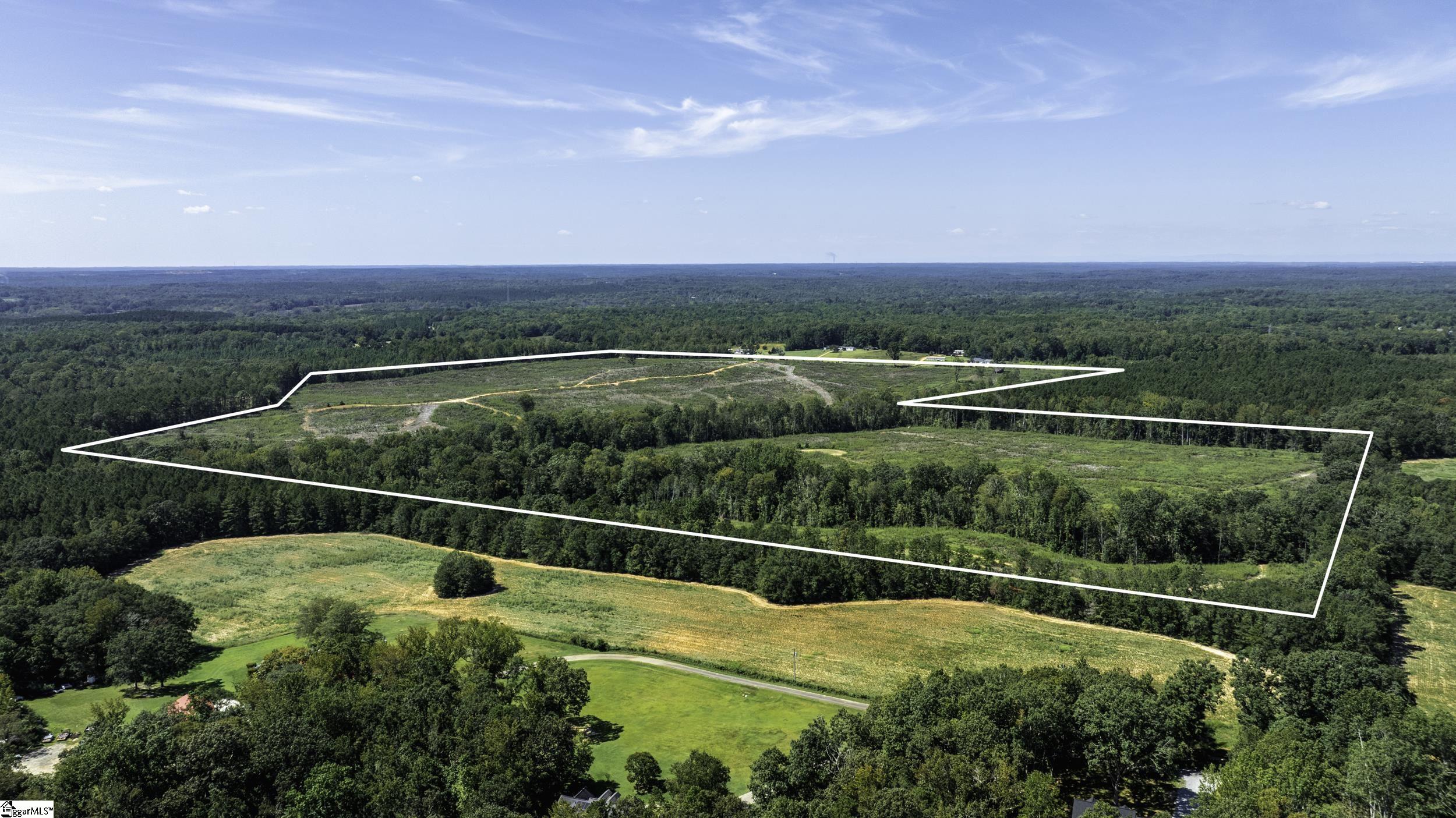 0 Cowens Bridge Road Gray Court, SC 29645 - Photo 9 of 24