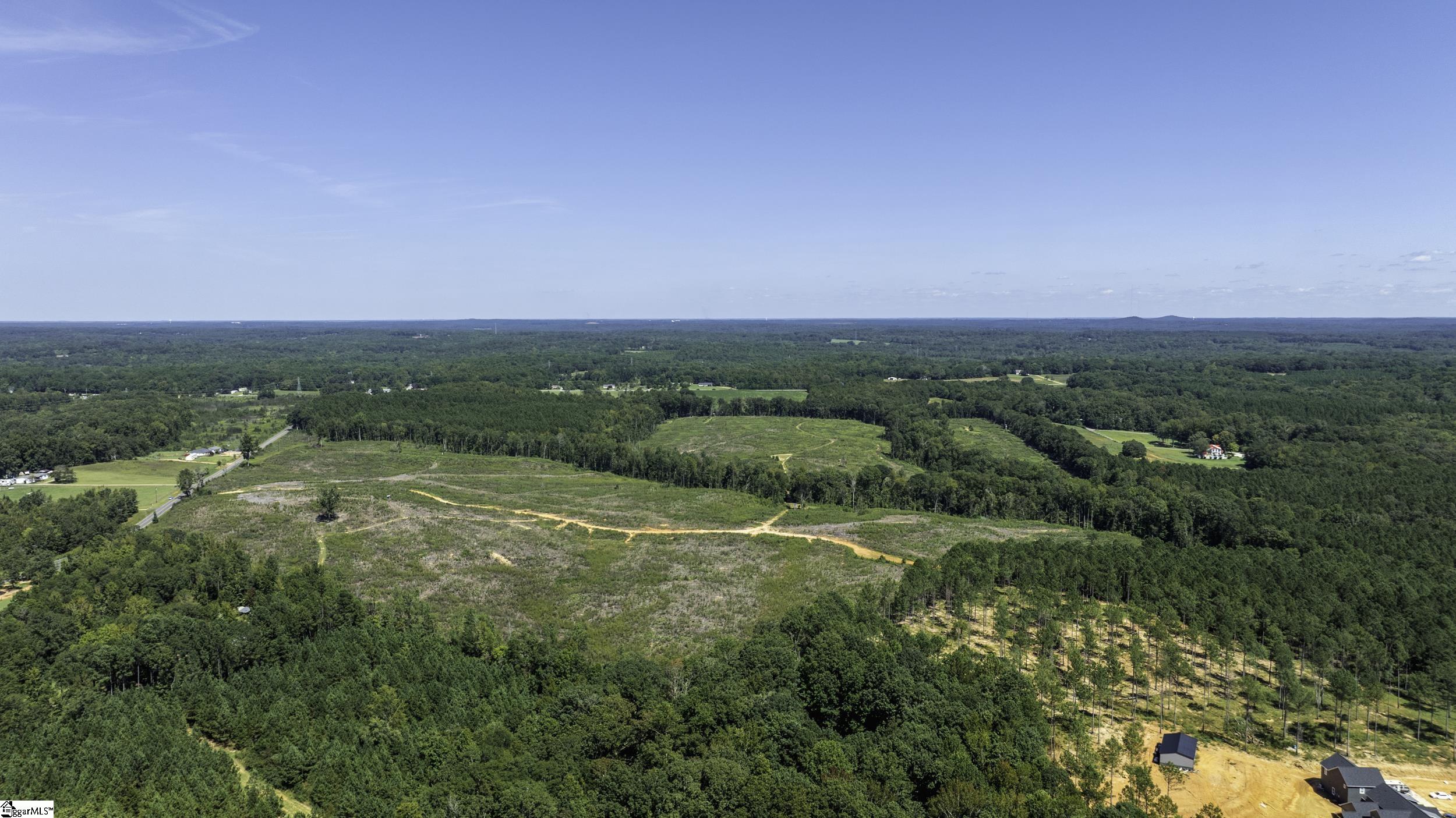 0 Cowens Bridge Road Gray Court, SC 29645 - Photo 10 of 24