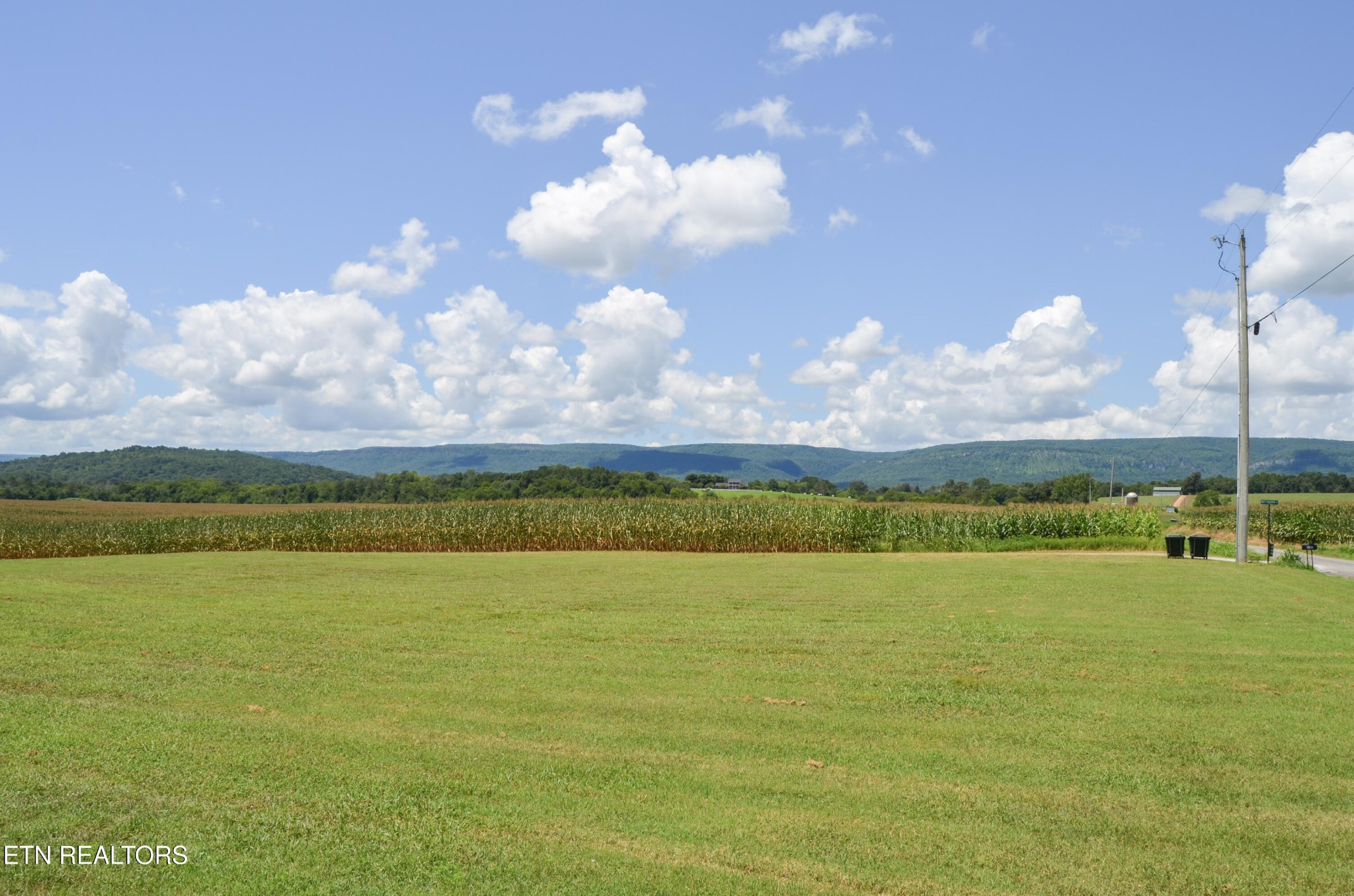 241 Terry Road Pikeville, TN 37367 - Photo 6 of 47