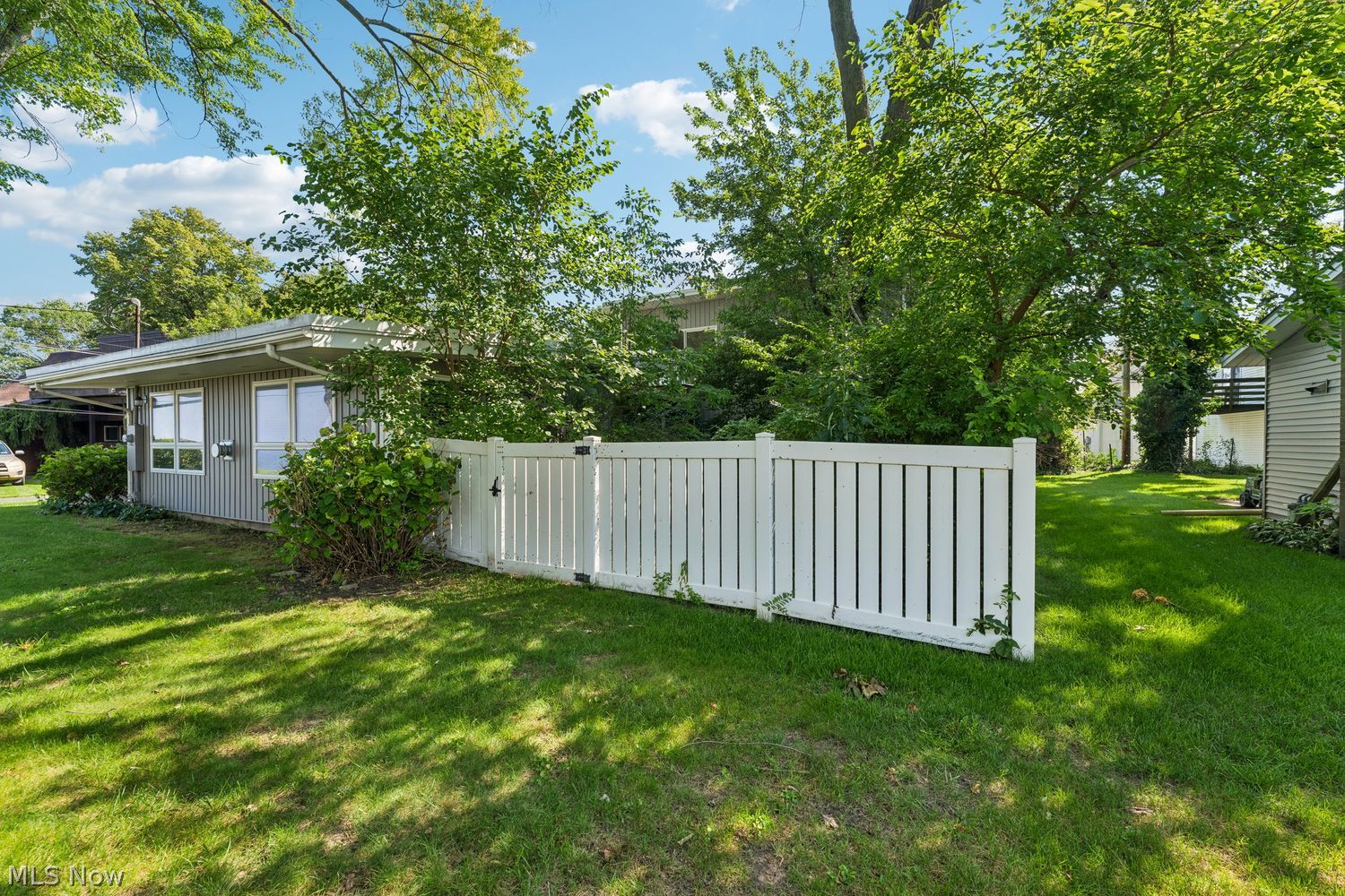 Privacy Fence for Back Yard