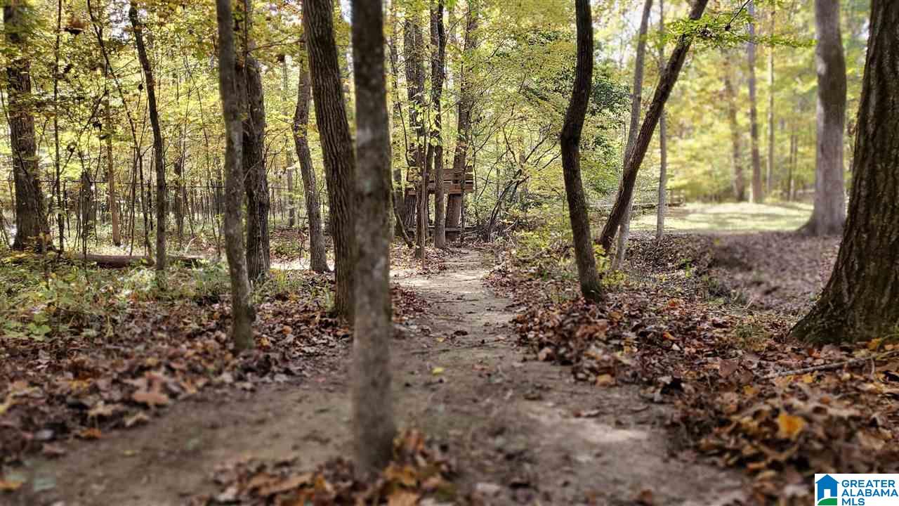 144 Silverleaf Drive Pelham, AL 35124 - Photo 47 of 50