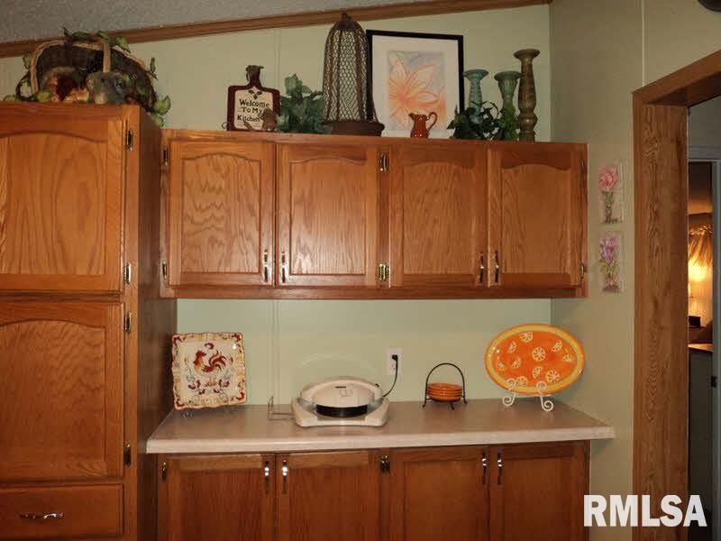 1395 Butler Road Harrisburg, IL 62946 - Photo 6 of 14
