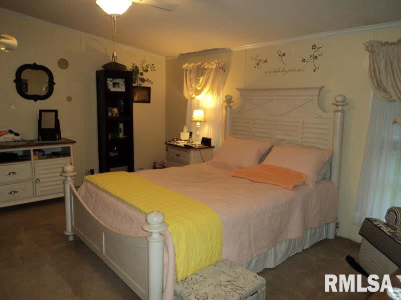 1395 Butler Road Harrisburg, IL 62946 - Photo 9 of 14