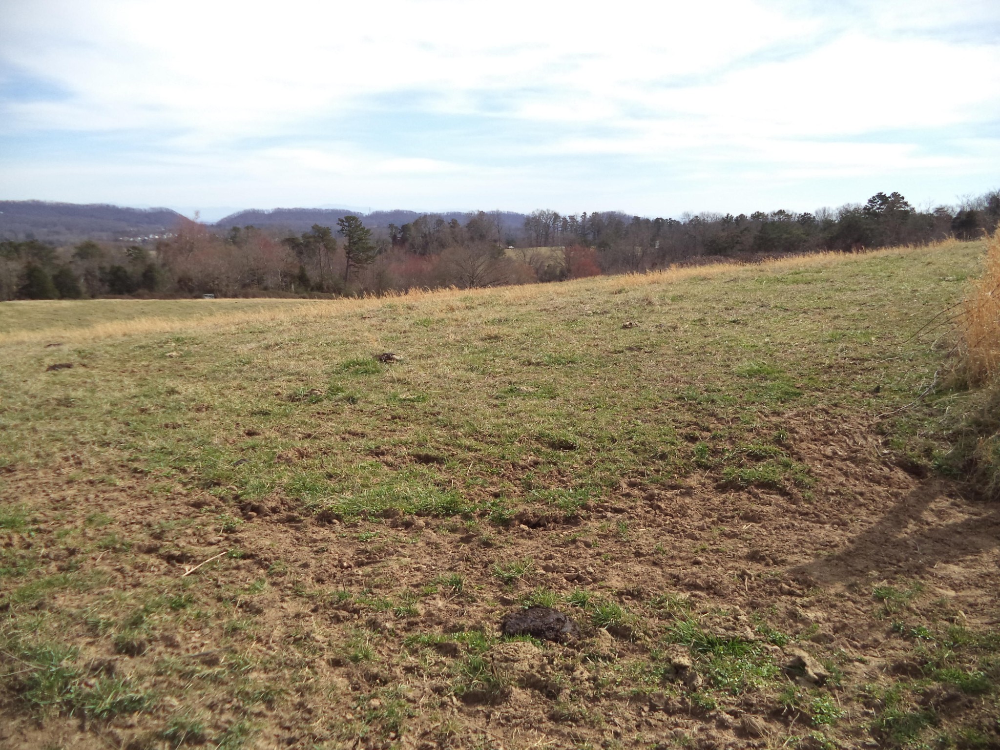 0 Ridgeview Road Corryton, TN 37721 - Photo 11 of 18 a view of a lake with mountains in the background