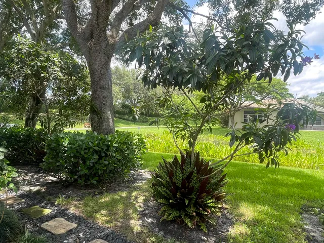 a backyard of a house with lots of green space