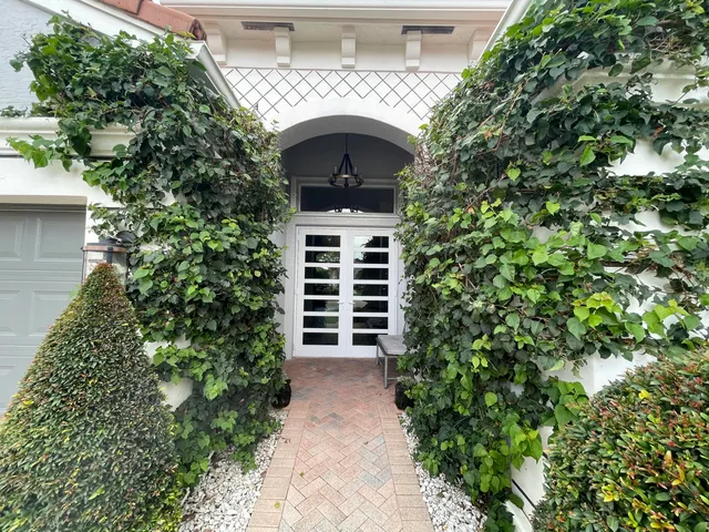 a large tree in front of a house