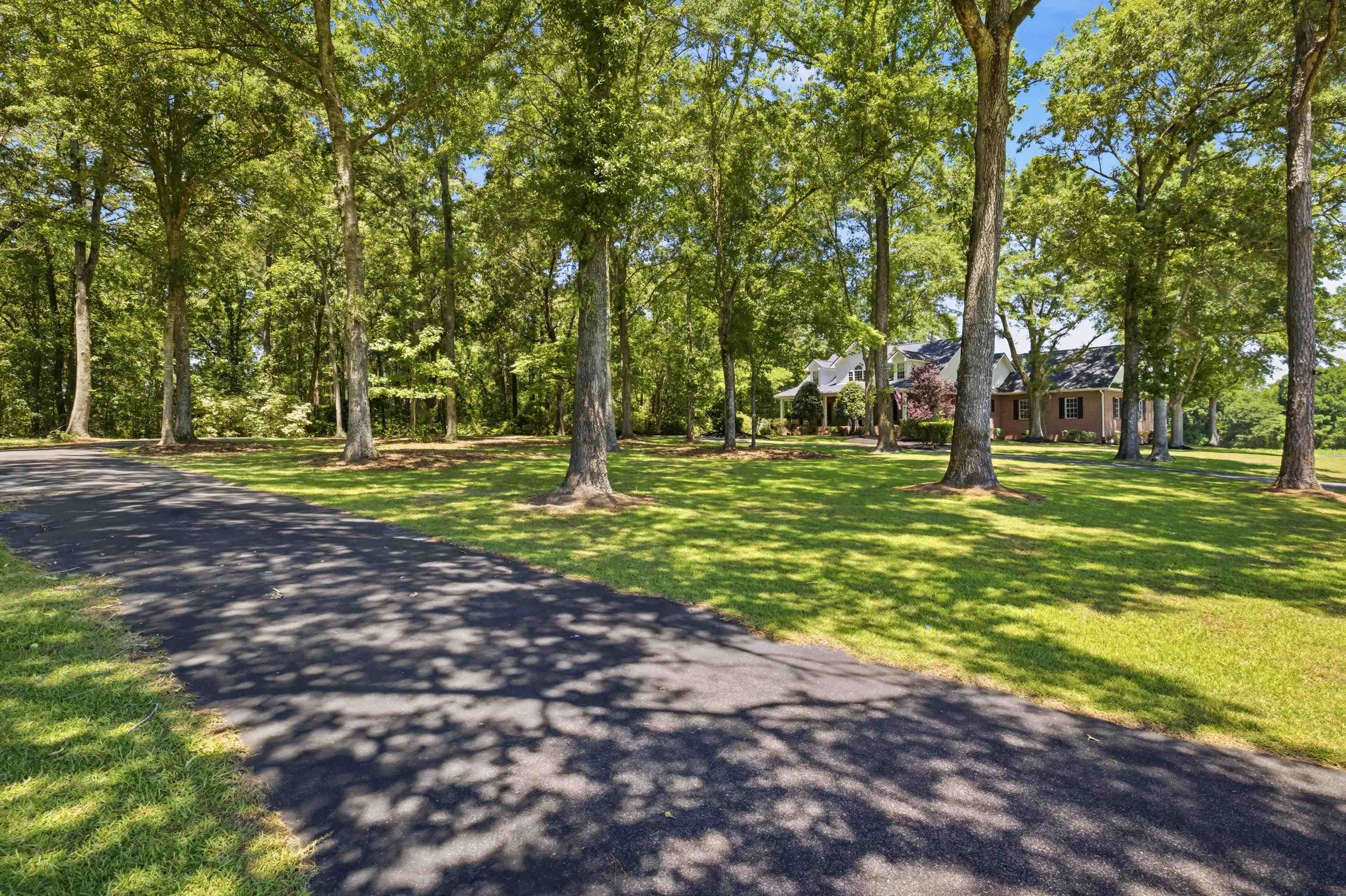 5417 Privetts Road Conway, SC 29526 - Photo 60 of 85