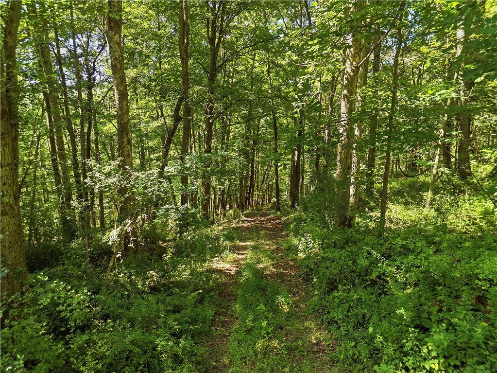 River Road Lindley, NY 14858 - Photo 14 of 21 Gallery Image 14