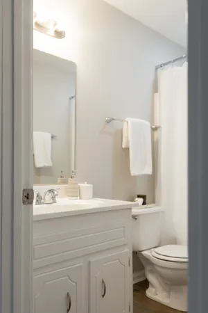 a bathroom with a sink toilet vanity and mirror