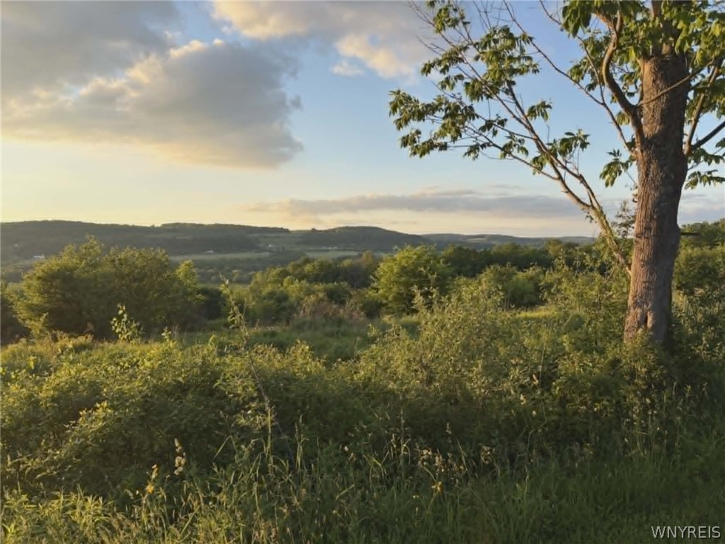Spring Valley Road Black Creek, NY 14714 - Photo 4 of 17 Gallery Image 4