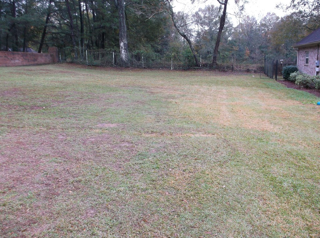 Tbd Pointe Drive Summit, MS 39666 - Photo 4 of 14 Lot #1