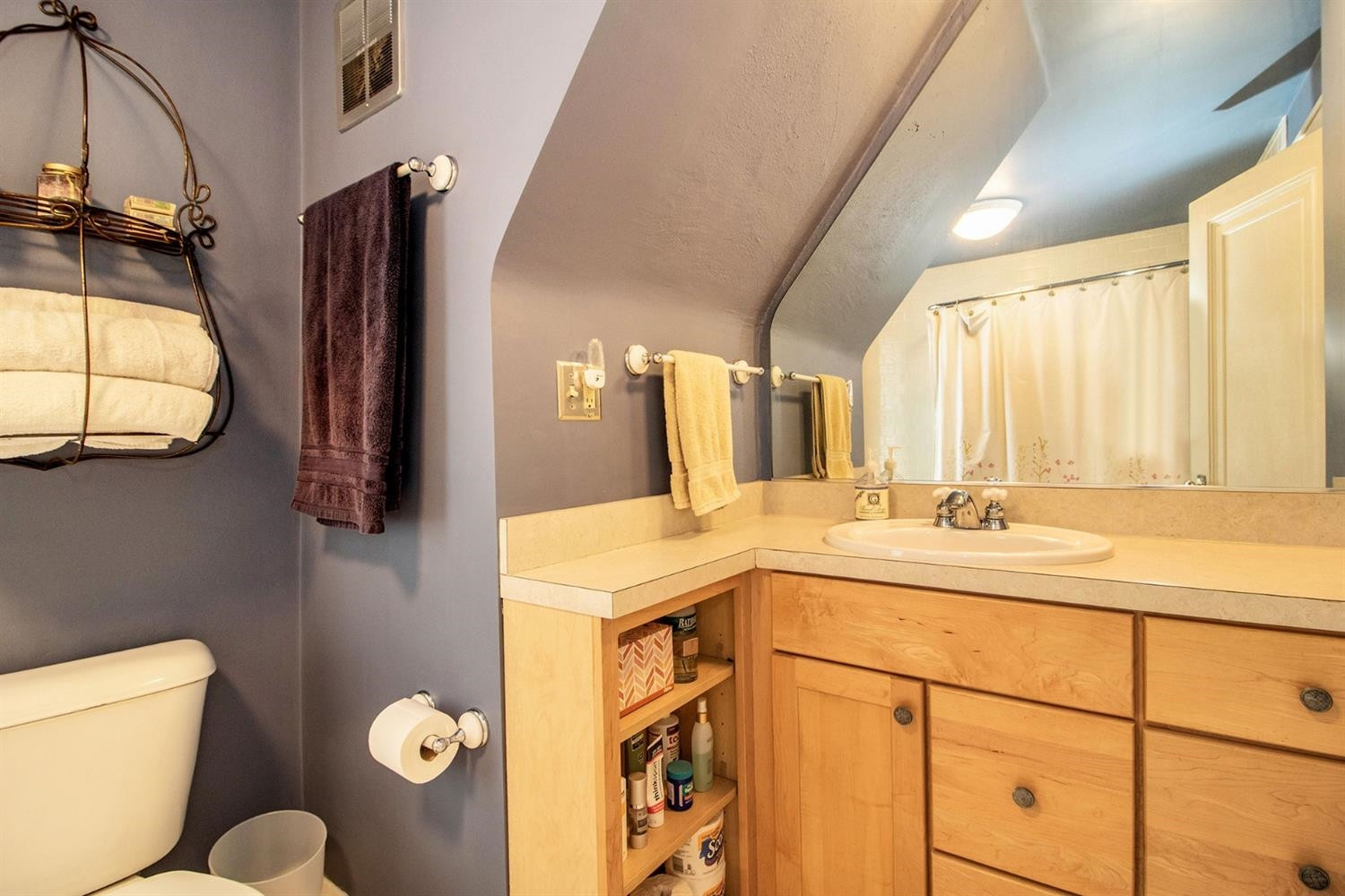 317 Maple Ridge Ann Arbor, MI 48103 - Photo 17 of 29 Photo 17