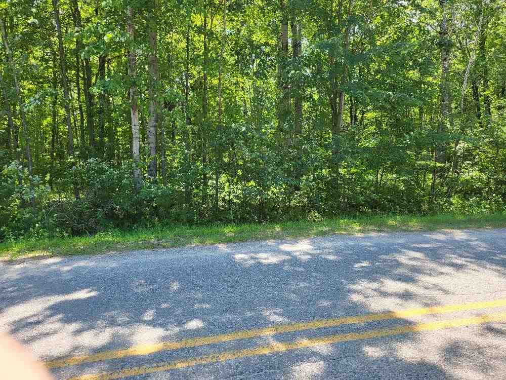 Lot 69 Pineway Drive Gladwin, MI 48624 - Photo 5 of 5