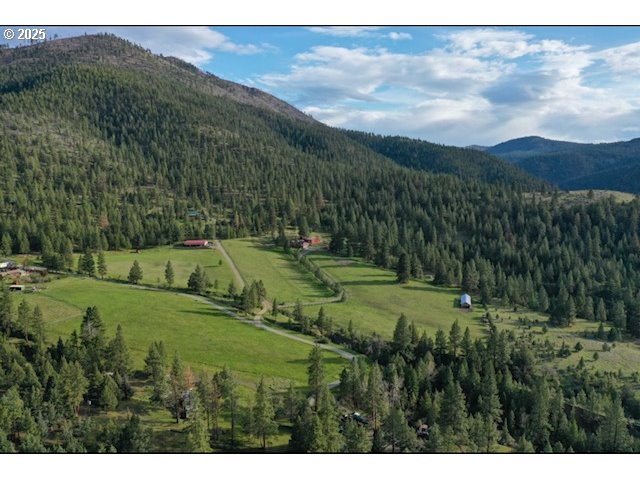 49988 Pine Haven Road Canyon City, OR 97820 - Photo 40 of 41